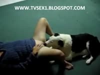 Dog oral sex with a sexy bitch